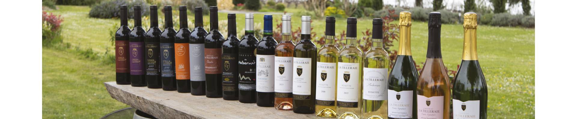 Vins